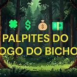 palpite jogo do bicho hoje european roulette