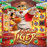 pg88 fortune tiger bet