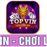 topvin
